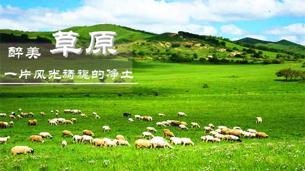 漠河小柒